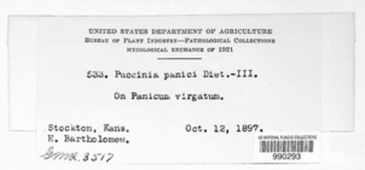 Puccinia panici image